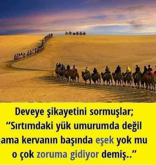 <a href="/seyfikarsli/">Seyfi Karslı</a> Kervan mı 😁