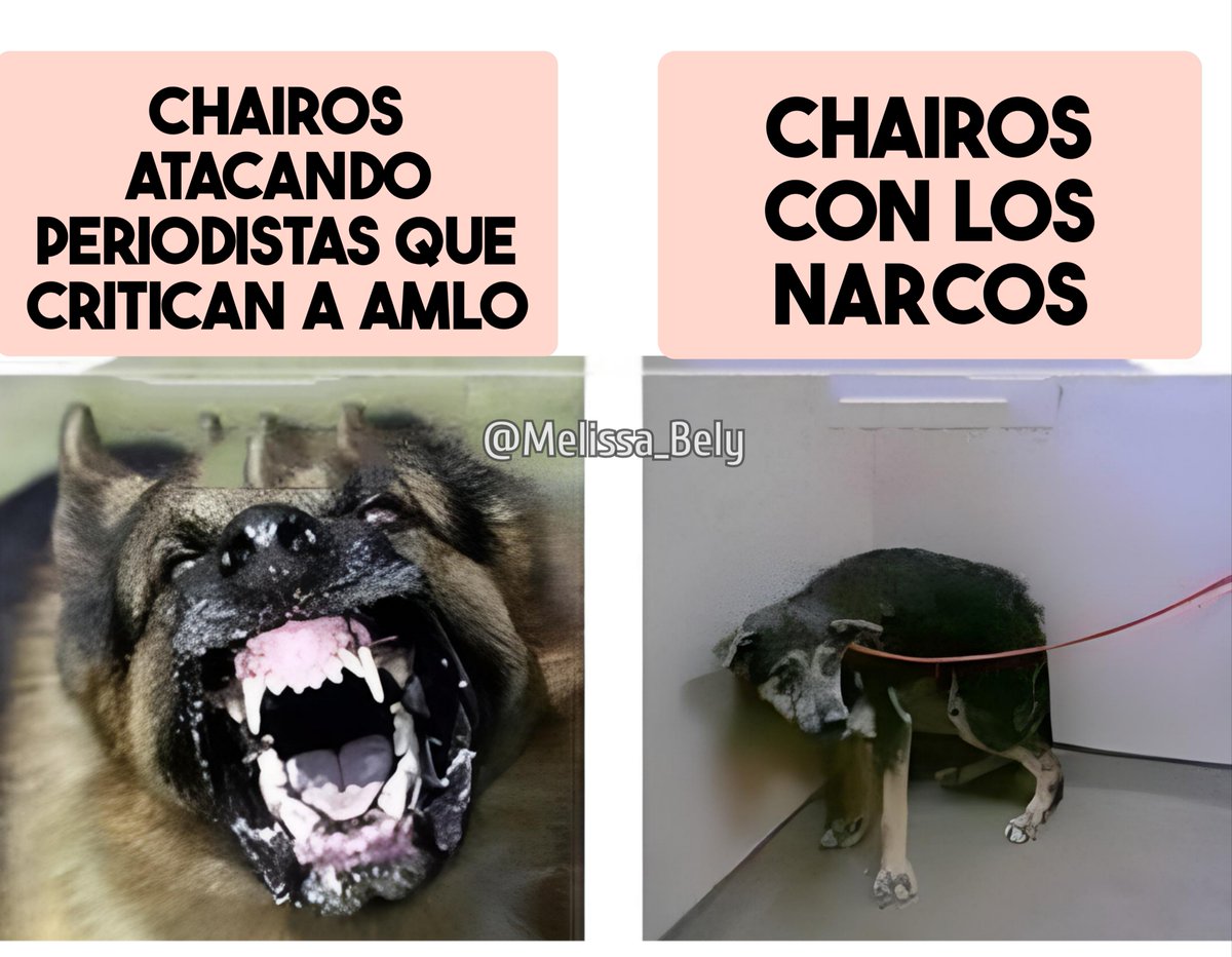 Pssst.. pssst..

👇