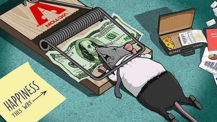 Tropical Wizard🍯🍊🌞 tweet media