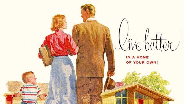 Tropical Wizard🍯🍊🌞 tweet media