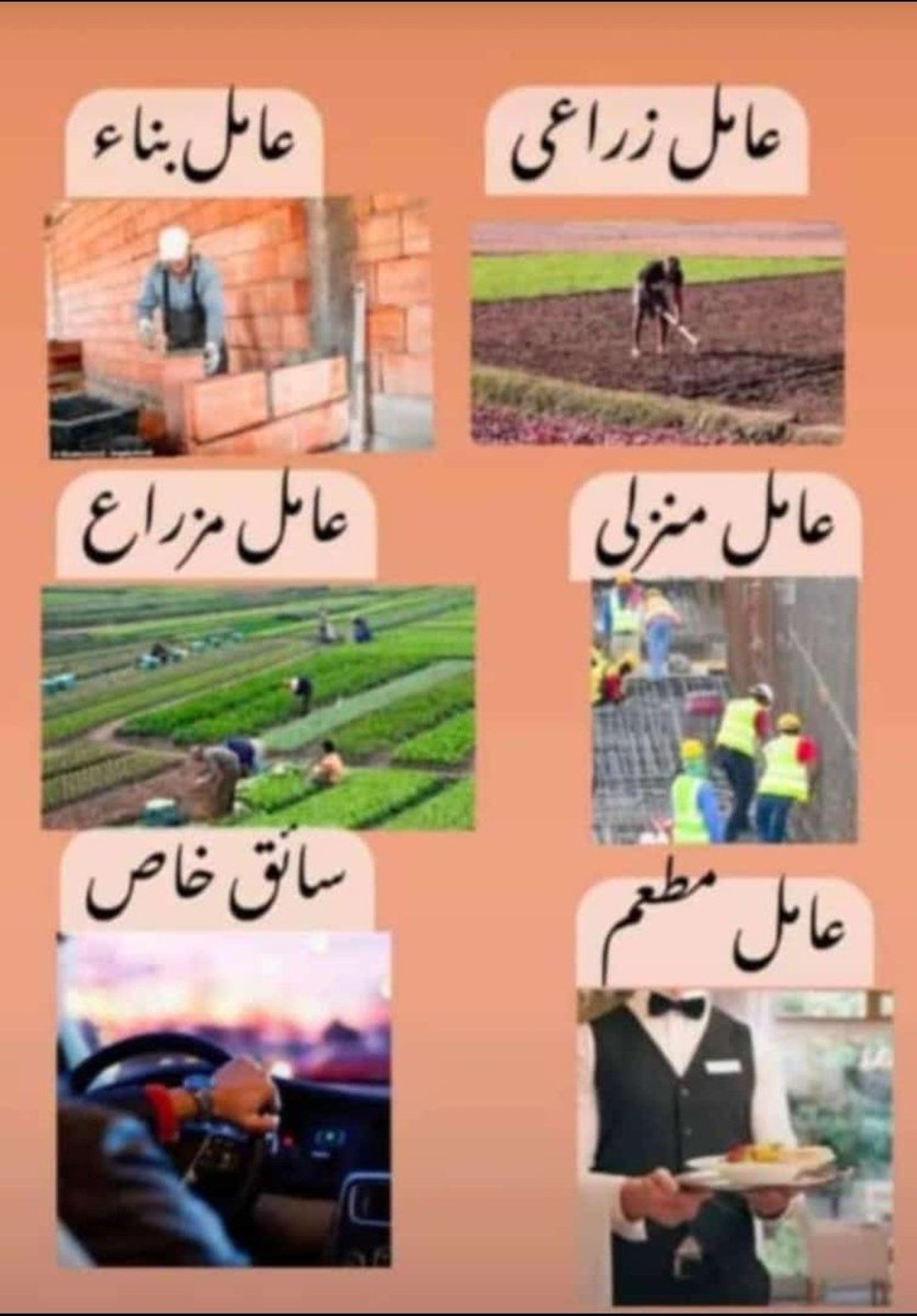 Kaleem447433's tweet photo. 🌹عندنا موجود ممتاز عمال 👌💯
🌓عندنا موجود ممتاز عمال
🌓سواقين (جديد و قديم)
🌓مزارعين
🌓سمكري
🌓كهربائ�� سيارات
🌓دهان سيارات
🌒بترول ميكانيكي
🌑ديزل ميكانيكي
🌑سباك عام
🌑 حداد
🌑لحام
🌑خياط
🌑دهان مباني
عاملين👇
📲 https://t.co/gN7NizMRQX https://t.co/uSZ8MlJXSc