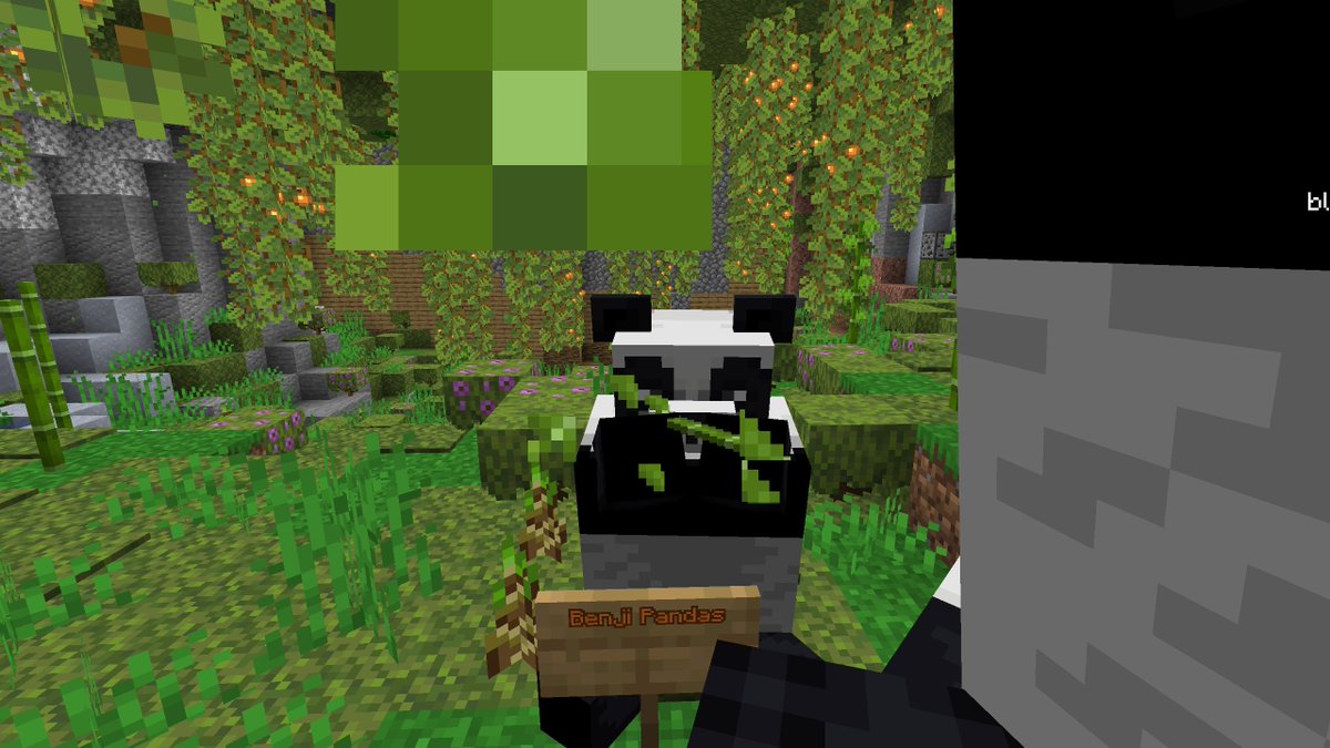 _BenjiSenji's tweet photo. For every like on this post I will breed 10 pandas and if it gets 100 likes I will breed 1 million pandas! (i will do this all live on twitch) https://t.co/VtwwkS7NtZ