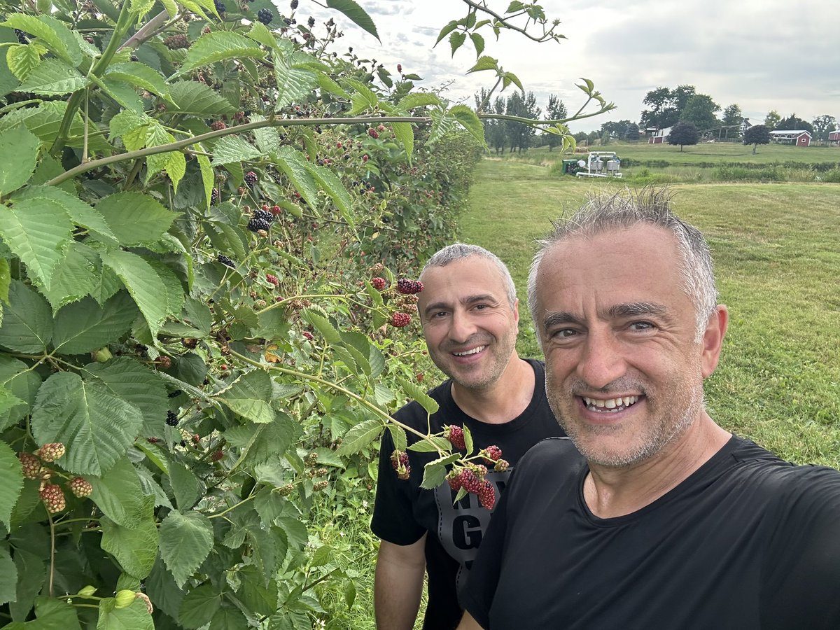 fazli12345's tweet photo. Enjoying Handpicked #Peaches #homestead__farm #Potomac #Maryland #envcoban #recepcomb #engindemet61 @ibotkn #onurcoban61 Ve #Mora #Bogurtlem https://t.co/VM0dS6W6H5
