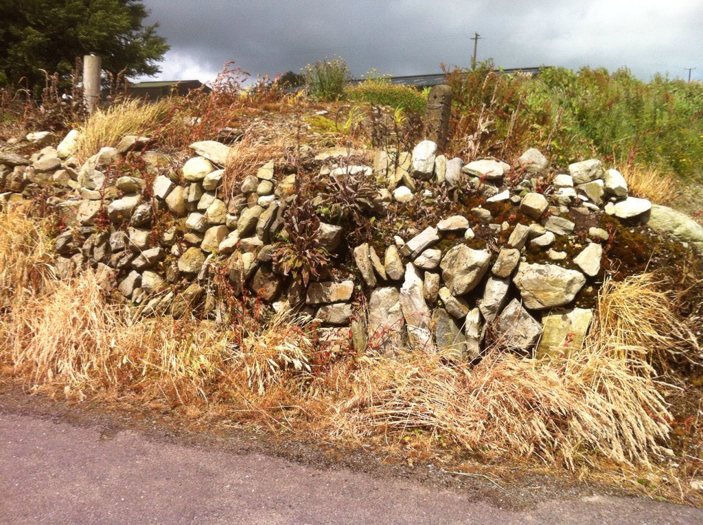 AHRDesigns's tweet image. I just signed this petition, will you join me?  my.uplift.ie/petitions/stop… via @UpliftIRL Orange and poisoned vrs Green and Alive. #WestCork Please repost