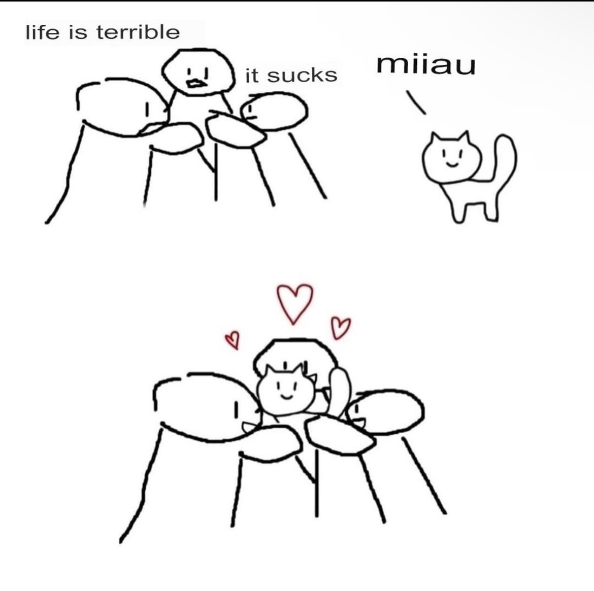 Punch Cat tweet media