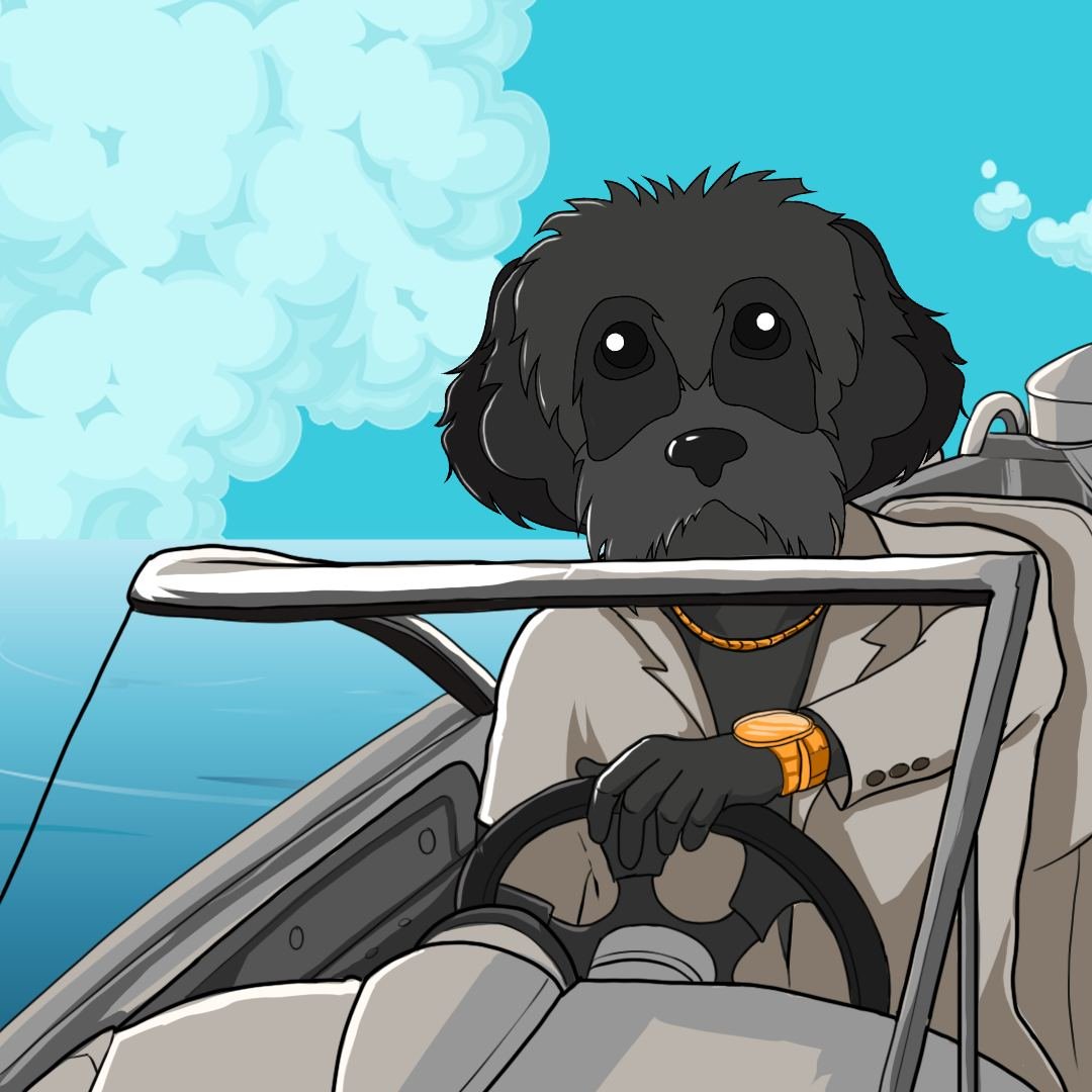 Hop in, let's go for a ride $MYRO