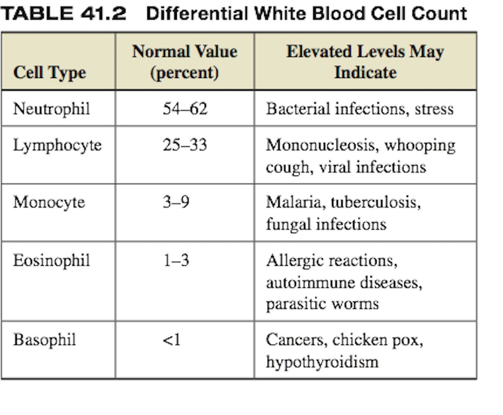 A complete blood count cbc test is one of the most comprehensive