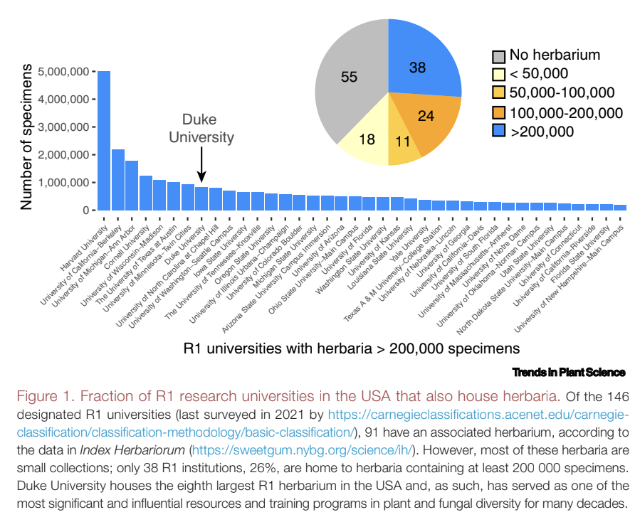 Yale / Harvard / Berkeley colleagues reflect on Duke's decision to divest its herbarium
drive.google.com/file/d/13bzPde…