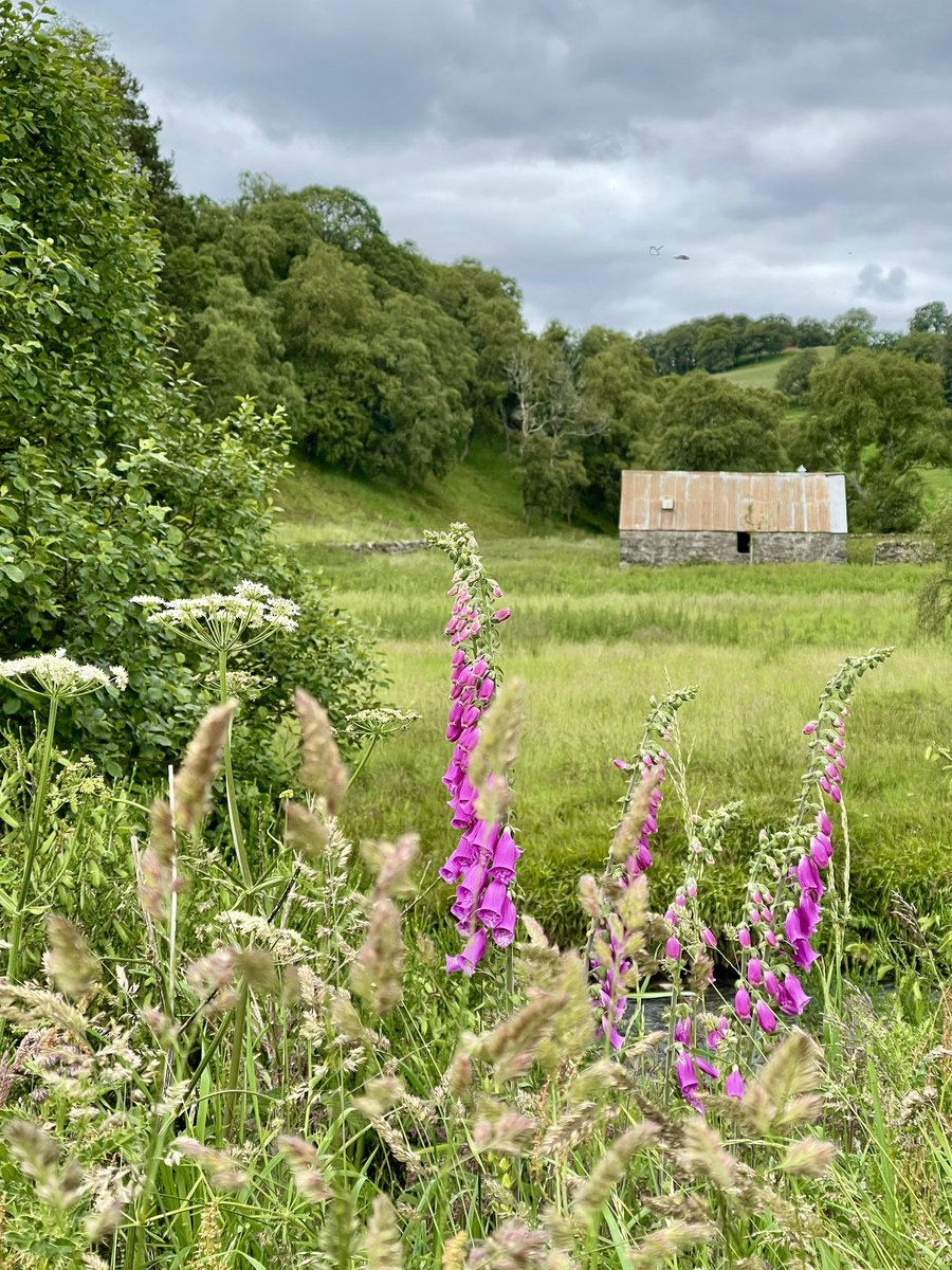 CabrachTrust's tweet photo. Excellent Sunday afternoon in #TheCabrach.
We brought the community together for a BBQ at the Acorn as we continue to develop our #LocalPlacePlan. Great attendance & input from across the community, ably supported by @CommEnterprise.
Thereafter, a walk on our Discovery Trail ❤️ https://t.co/IYxXcoJWmE