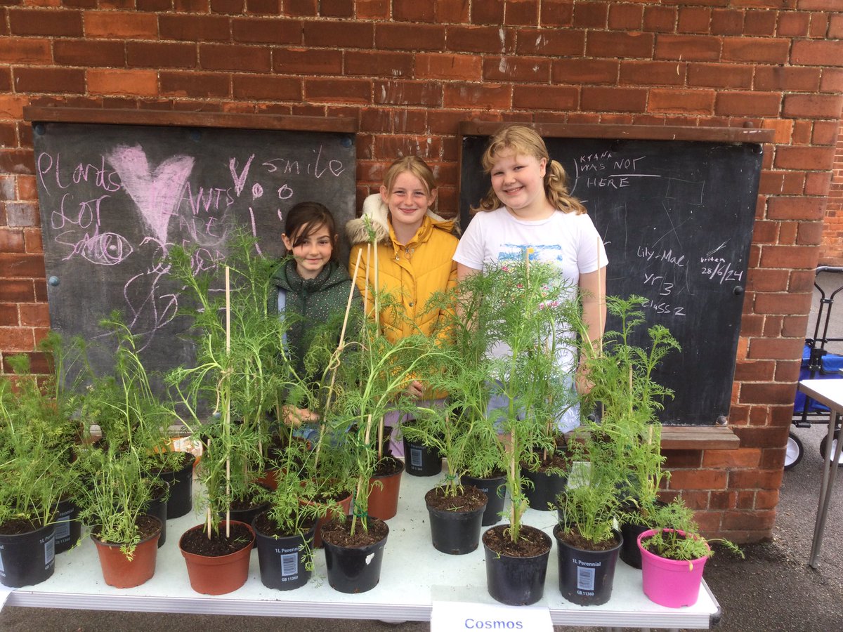 burlingtonjnr's tweet photo. What better way to finish off @30DaysWild than to invite the public into our school grounds to visit our many wonderful Secret Gardens? Day 30 @YorksWildlife @WildlifeTrusts @TheTreeCouncil @RHSSchools #TeamWilder #ForceForNature @bridtowncouncil @BridFreePress @bridlingtonecho https://t.co/8Ol2nW6Bc3