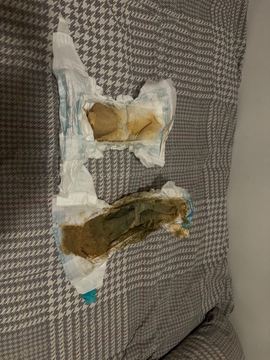 Diaper6662's tweet photo. Found this poopy diapers.
Size 5 and 6 https://t.co/Dp6K5dsn7O