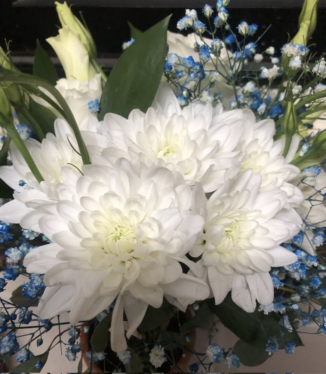 Christos Louca (@louca_chri33156) on Twitter photo <a href="/SalmanAlasfoo12/">Salman Alasfoor</a> <a href="/GinaJardines/">Cleopatra</a> <a href="/mdtl584313/">مدحت صلاح</a> @lazarol0081 <a href="/szentandrassym/">🌞 Sophie S 🌴</a> <a href="/sheriran95/">sheer_iran</a> <a href="/ABS20762910/">singh🌿🍁🌺</a> <a href="/Ravikan32754301/">Ravikant Singh</a> <a href="/JoeDarth1/">Joe Darth</a> <a href="/BavejaH/">H.C.Baveja</a> @PeriodistaYvke <a href="/LuizJos88501257/">Luiz Jose</a> <a href="/Edward733/">ஜ۩ღEdward Simღ۩ஜ 심상갑</a> <a href="/MMansourf16/">محمد منصور</a> <a href="/AgnimitraTalap1/">Agnimitra Talapatra</a> <a href="/PolishRoyalGoat/">Ana and her Goat</a> <a href="/Dipanka82446090/">Dipankar Roy</a> <a href="/Mehmet35879586/">Mehmet</a> <a href="/MaritzaMercede/">Maritza Mercedes</a> <a href="/SafetyMentalst/">Jerry Rome Bass</a> <a href="/Leah2477/">Leah</a> <a href="/OrhanAkbiyik7/">Orhan Akbıyık</a> <a href="/YuliyaInopinaPR/">YuliyaInopinaPR 😍✌🌺😎🌵😝👉👉👉</a> <a href="/psrimanta/">SRIMANTA CH PRAHARAJ</a> <a href="/LOVEKISSNOW009/">LOVE 🍒 TREE</a> <a href="/TheGoopyGhost/">Goopy Ghost</a> <a href="/TaposKumarBasu/">⭐✳️🇮🇳तापोस🇮🇳✳️⭐</a> <a href="/rajkumarr76866/">Rajkumar K</a> <a href="/ANAGARC01857906/">ANA CUYUBAMBA</a> <a href="/89BrownSugar/">WILL MA</a> <a href="/hemshankar7093/">Hem shanker sharma</a> <a href="/lena_marly/">Marly Helena Bartniak</a> <a href="/Alaayous3/">alaa amy</a> <a href="/rpskataria/">Ramphal Kataria رامپھل کٹاریا</a> <a href="/Cristob81777882/">Cristobal Cora</a> <a href="/FLOWI112/">😊 𝙁𝙇𝙊𝙒 🅰️ 🇩🇪 #𝗳𝗹𝗼𝘄_𝗯𝗹 🅰️😁 SUSI</a> <a href="/Susan12214/">Susan1221</a> <a href="/EngrOtokpa/">Engr. Oche Israel</a> <a href="/AttitudeSlayers/">Attitude Slayers</a> <a href="/heroldbarton/">herold barton</a> <a href="/atmanifarid/">♥Farid Atmani♥</a> <a href="/SharifGiovanni/">Younis Sharif</a> <a href="/Ajz_321/">Ajaz khan official</a> <a href="/molnarz674/">Zoltán Molnár</a> <a href="/3_toshiyuki/">toshiyuki (I like new things.)</a> <a href="/Mone_fb/">🅰️ 🇩🇪 🔥 𝐒𝐔𝐒𝐈 🇩🇪 🅰️ Follow Back💯💯💯</a> <a href="/6ALSAMER/">ALSAMER</a> <a href="/Muhamma28830814/">Muhammadashraf</a> <a href="/Eric06970841622/">Chimex</a> <a href="/fryld/">Fryl dnc</a> Beautiful lovely wonderful ❤️
✌️ 🙏 👏 Thank YOU 🙏 <a href="/SalmanAlasfoo12/">Salman Alasfoor</a> <a href="/GinaJardines/">Cleopatra</a> <a href="/mdtl584313/">مدحت صلاح</a> @lazarol0081 <a href="/szentandrassym/">🌞 Sophie S 🌴</a> <a href="/sheriran95/">sheer_iran</a> <a href="/ABS20762910/">singh🌿🍁🌺</a> <a href="/Ravikan32754301/">Ravikant Singh</a> <a href="/JoeDarth1/">Joe Darth</a> <a href="/BavejaH/">H.C.Baveja</a> @PeriodistaYvke <a href="/LuizJos88501257/">Luiz Jose</a> <a href="/Edward733/">ஜ۩ღEdward Simღ۩ஜ 심상갑</a> <a href="/MMansourf16/">محمد منصور</a> <a href="/AgnimitraTalap1/">Agnimitra Talapatra</a> <a href="/PolishRoyalGoat/">Ana and her Goat</a> <a href="/Dipanka82446090/">Dipankar Roy</a> <a href="/Mehmet35879586/">Mehmet</a> <a href="/MaritzaMercede/">Maritza Mercedes</a> <a href="/SafetyMentalst/">Jerry Rome Bass</a> <a href="/Leah2477/">Leah</a> <a href="/OrhanAkbiyik7/">Orhan Akbıyık</a> <a href="/YuliyaInopinaPR/">YuliyaInopinaPR 😍✌🌺😎🌵😝👉👉👉</a> <a href="/psrimanta/">SRIMANTA CH PRAHARAJ</a> <a href="/LOVEKISSNOW009/">LOVE 🍒 TREE</a> <a href="/TheGoopyGhost/">Goopy Ghost</a> <a href="/TaposKumarBasu/">⭐✳️🇮🇳तापोस🇮🇳✳️⭐</a> <a href="/rajkumarr76866/">Rajkumar K</a> <a href="/ANAGARC01857906/">ANA CUYUBAMBA</a> <a href="/89BrownSugar/">WILL MA</a> <a href="/hemshankar7093/">Hem shanker sharma</a> <a href="/lena_marly/">Marly Helena Bartniak</a> <a href="/Alaayous3/">alaa amy</a> <a href="/rpskataria/">Ramphal Kataria رامپھل کٹاریا</a> <a href="/Cristob81777882/">Cristobal Cora</a> <a href="/FLOWI112/">😊 𝙁𝙇𝙊𝙒 🅰️ 🇩🇪 #𝗳𝗹𝗼𝘄_𝗯𝗹 🅰️😁 SUSI</a> <a href="/Susan12214/">Susan1221</a> <a href="/EngrOtokpa/">Engr. Oche Israel</a> <a href="/AttitudeSlayers/">Attitude Slayers</a> <a href="/heroldbarton/">herold barton</a> <a href="/atmanifarid/">♥Farid Atmani♥</a> <a href="/SharifGiovanni/">Younis Sharif</a> <a href="/Ajz_321/">Ajaz khan official</a> <a href="/molnarz674/">Zoltán Molnár</a> <a href="/3_toshiyuki/">toshiyuki (I like new things.)</a> <a href="/Mone_fb/">🅰️ 🇩🇪 🔥 𝐒𝐔𝐒𝐈 🇩🇪 🅰️ Follow Back💯💯💯</a> <a href="/6ALSAMER/">ALSAMER</a> <a href="/Muhamma28830814/">Muhammadashraf</a> <a href="/Eric06970841622/">Chimex</a> <a href="/fryld/">Fryl dnc</a> Beautiful lovely wonderful ❤️
✌️ 🙏 👏 Thank YOU 🙏