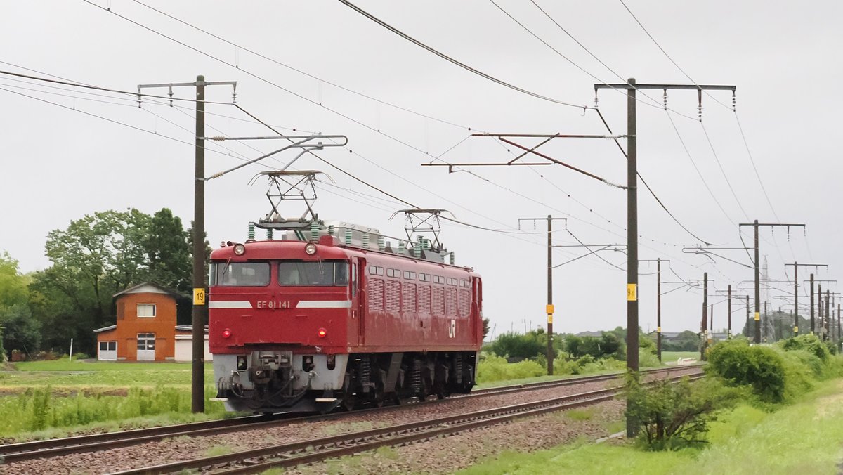 kobayac77m_007's tweet photo. 7月 1日(月)、下り単機回送,E81-141。
長岡から越後石山 (新潟車両センター) へ。本日の上り配給列車(E235系1000番台 J-37編成,6/26出場)牽引用に送り込み。 信越本線-見附~帯織、5:34。 #E81 #8423レ #新潟車両センター #送り込み #単機回送 #配給輸送 #配給列車 #新津配給 https://t.co/nOKlMe2r4B