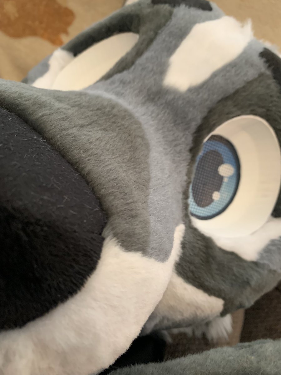 Fangtastic Studio tweet media