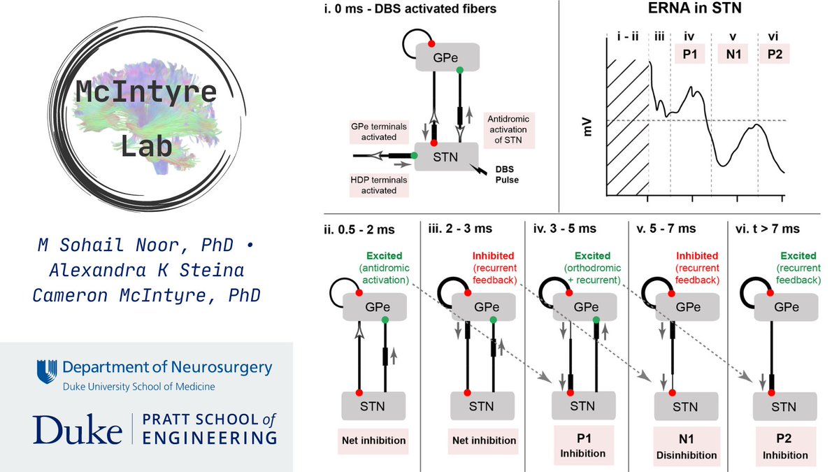 The McIntyre Lab tweet media