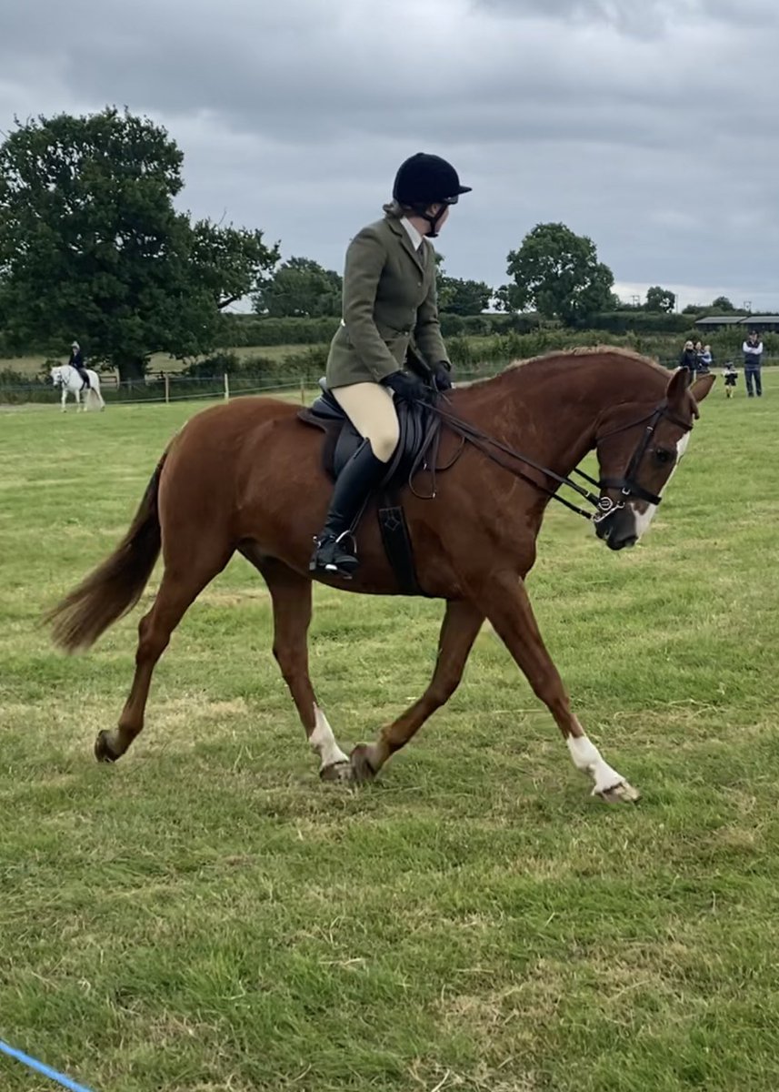 Emily Craven (@emilycraven) on Twitter photo Tim really did himself (and me!) proud today! He’s such a show off and does very well for an OAP!! Thanks <a href="/blastonshow/">Blaston Show</a> for a fabulous day! Tim really did himself (and me!) proud today! He’s such a show off and does very well for an OAP!! Thanks <a href="/blastonshow/">Blaston Show</a> for a fabulous day!