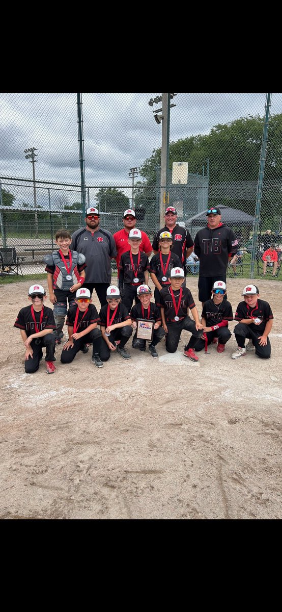 AABA Baseball tweet media