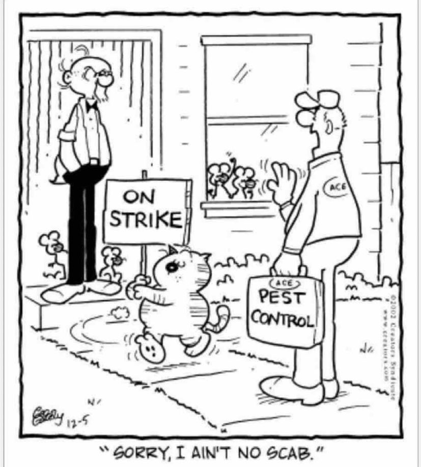 Solidarity with Heathcliff 🐈