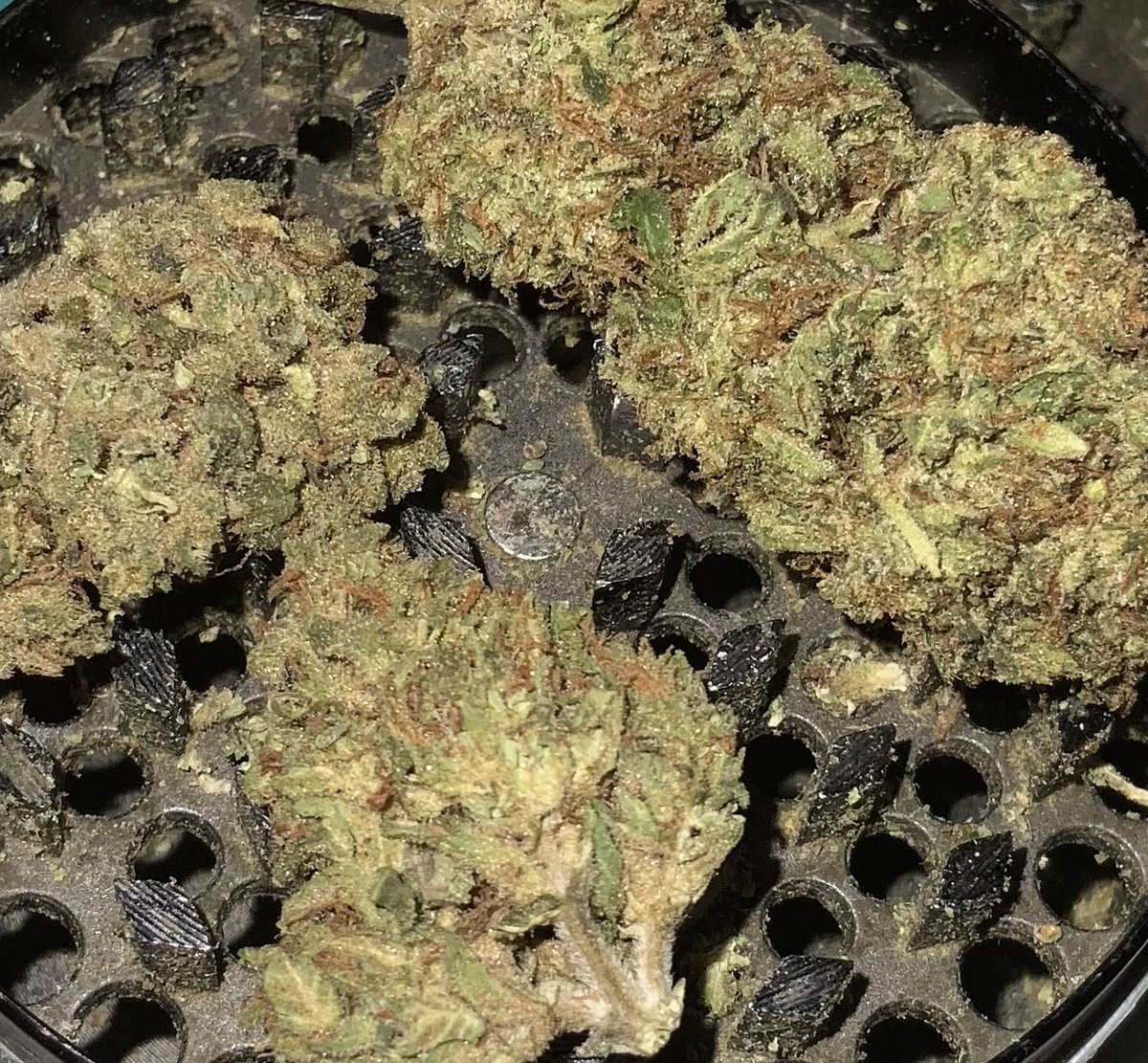 APeachYPoV's tweet photo. in honor of Mashup Monday shenanigans figured I'd fuck around & Find out early w/this #GhostVapor & #GodfatherOG reup...feelin like it's might gonna be about that weed nap time thingy thing Sum of us do💚💜🖤🍃✨note: pic4☠️
#MyPeachyPoV https://t.co/7S0IM7VV7t