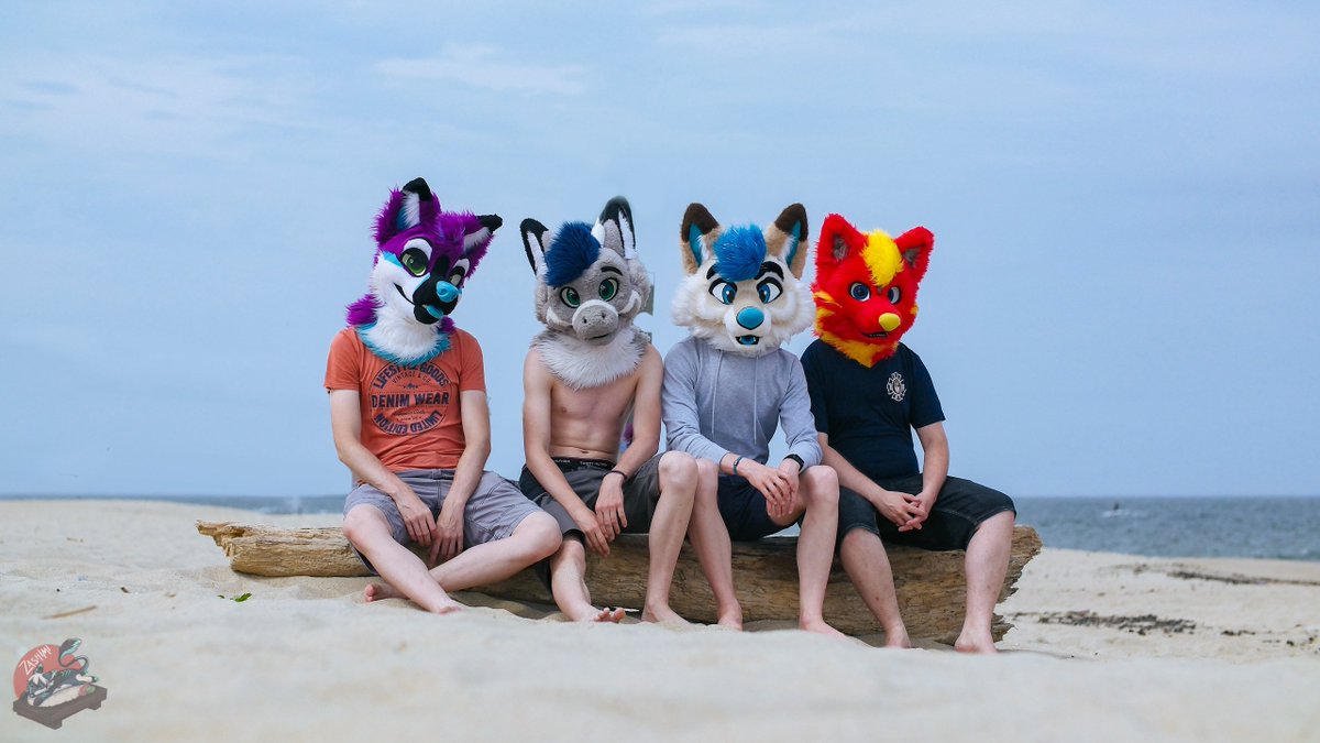 Found these cool animals the other day on the beach!!!! 

Causing mischief on the other side of the Atlantic 😆