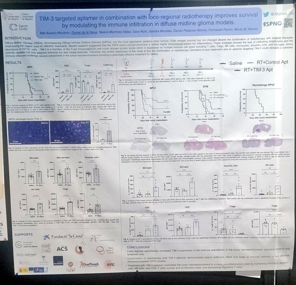 Alonso_Lab's tweet photo. Come and visit our poster showing @IkerAusejo's work about aptamer immunotherapy combined with radiotherapy for the treatment of #DMGs #ISPNO2024 https://t.co/pIr2Hyh9tm
