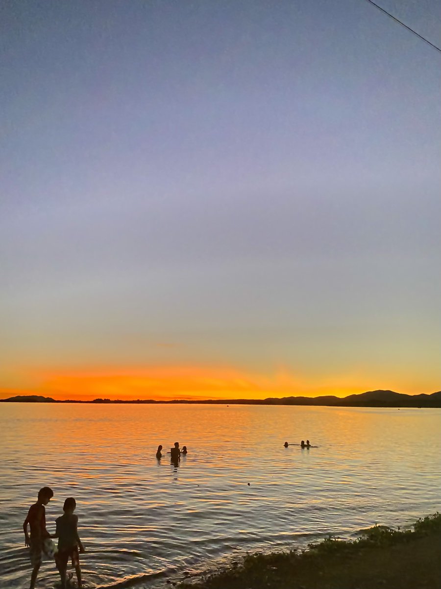 cachorro salivante de pavlov tweet media