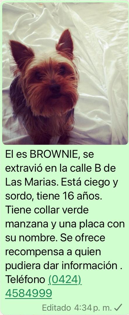 Holaaa! Pudieran por favor difundir en sus grupos?