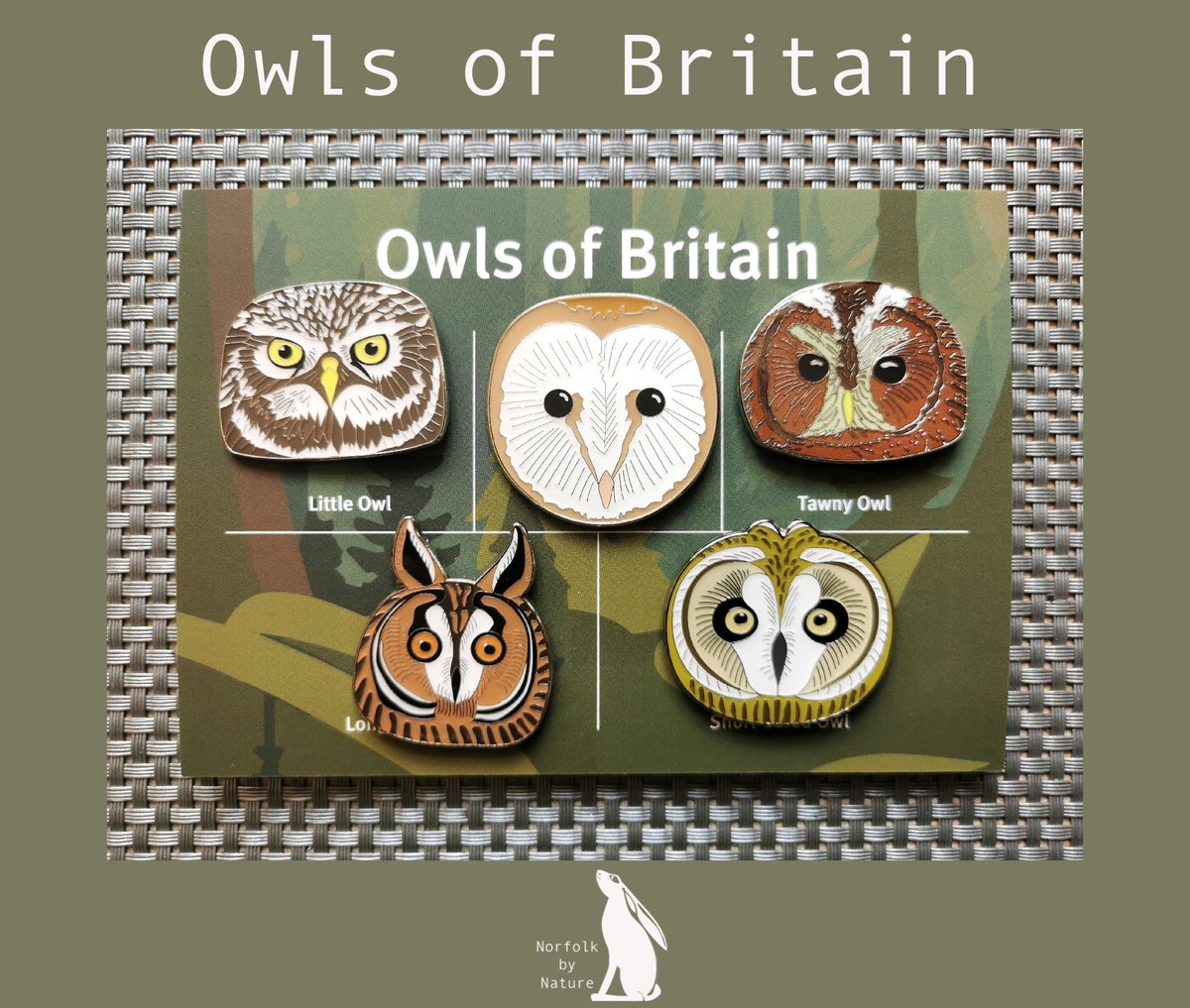 UKbirdingpins 💙 tweet media