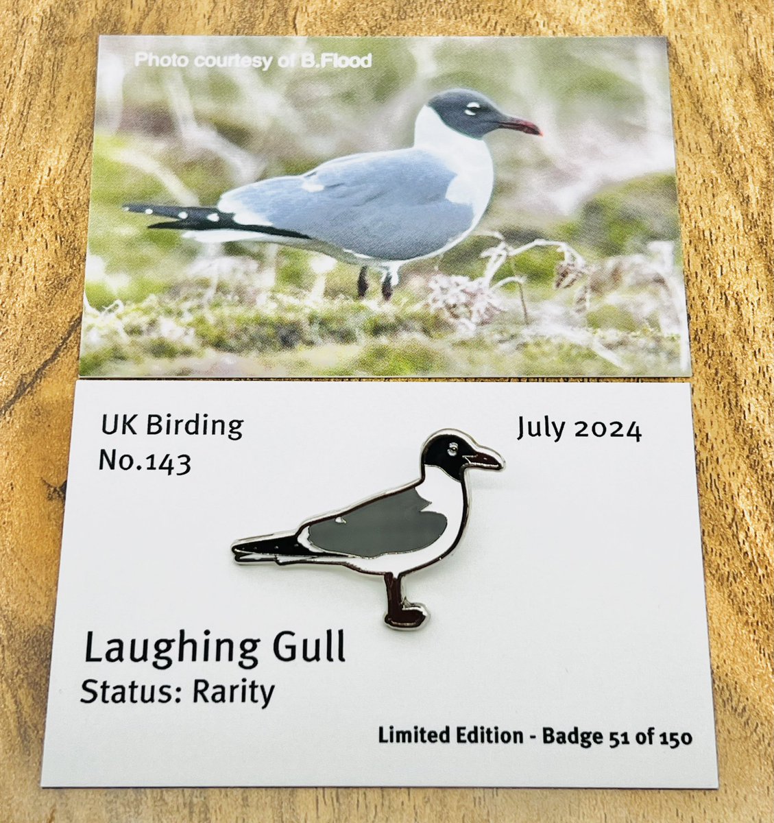 UKbirdingpins 💙 tweet media