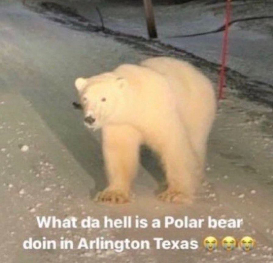 Meeting KC in Playoffs