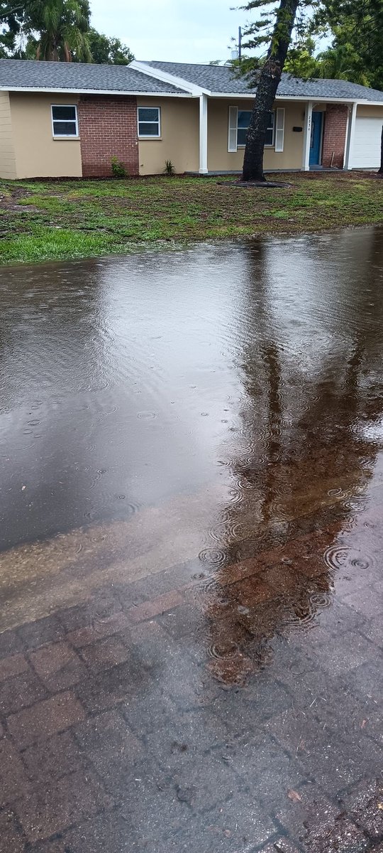 JUA (jew-ah) tweet media