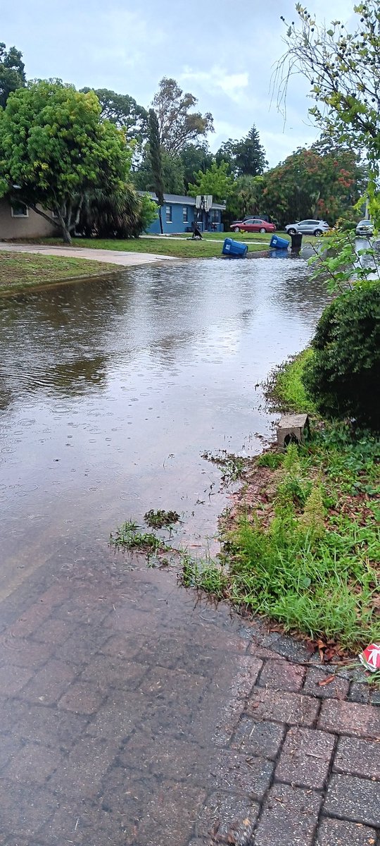 JUA (jew-ah) tweet media