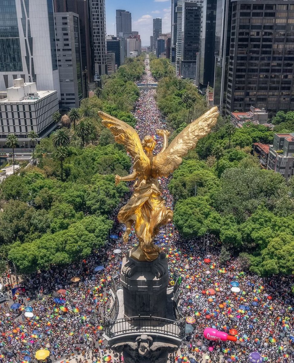 Me indigna mucho ver este tipo de fotos.

Si somos tantos… ¿Cómo es posible que sigo soltero? 

🤣🥹