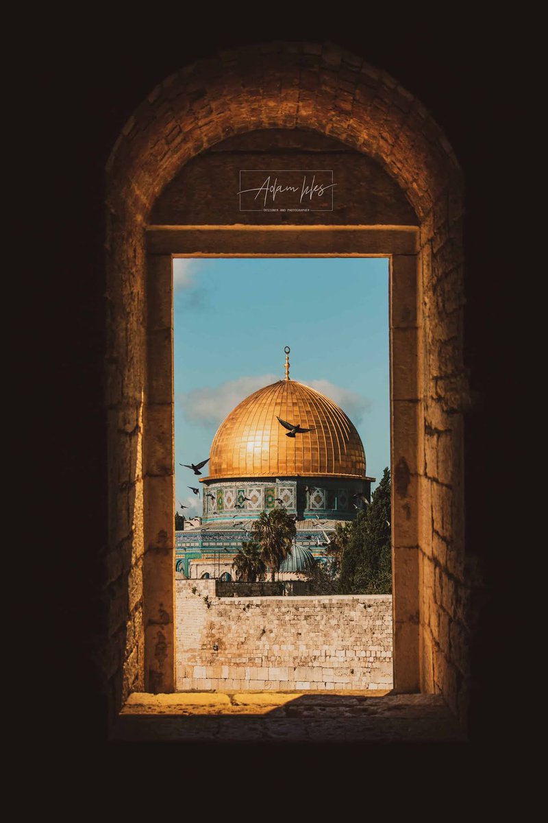 الى ملهمتي الغائبه و مصدر اشتياقي :

قومي تسامّي و اصمدي لاتطيحين
عزومنا تقوى لا منّك سميتي 

مقدسه مثل البلاد الحرمين
يالقبله اللي في صمودك رقيتي

لين اتوفى و اندفن يافلسطين
وانتي الى يوم القيامه قضيتي

و اذا الله اعطاني العيال المسمين
عليك اربيهم و اعلق وصيتي .