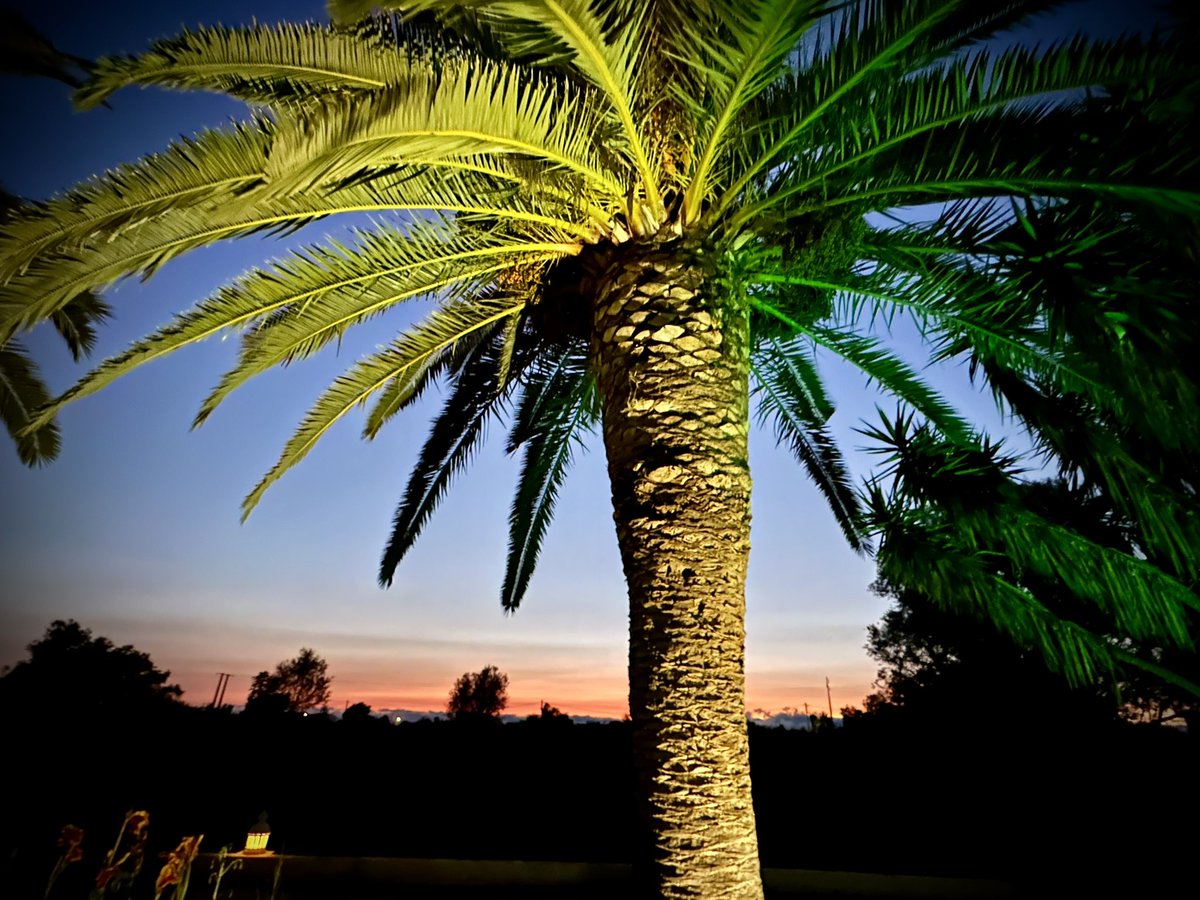 alexdc1's tweet image. 🌅🌴🇵🇹