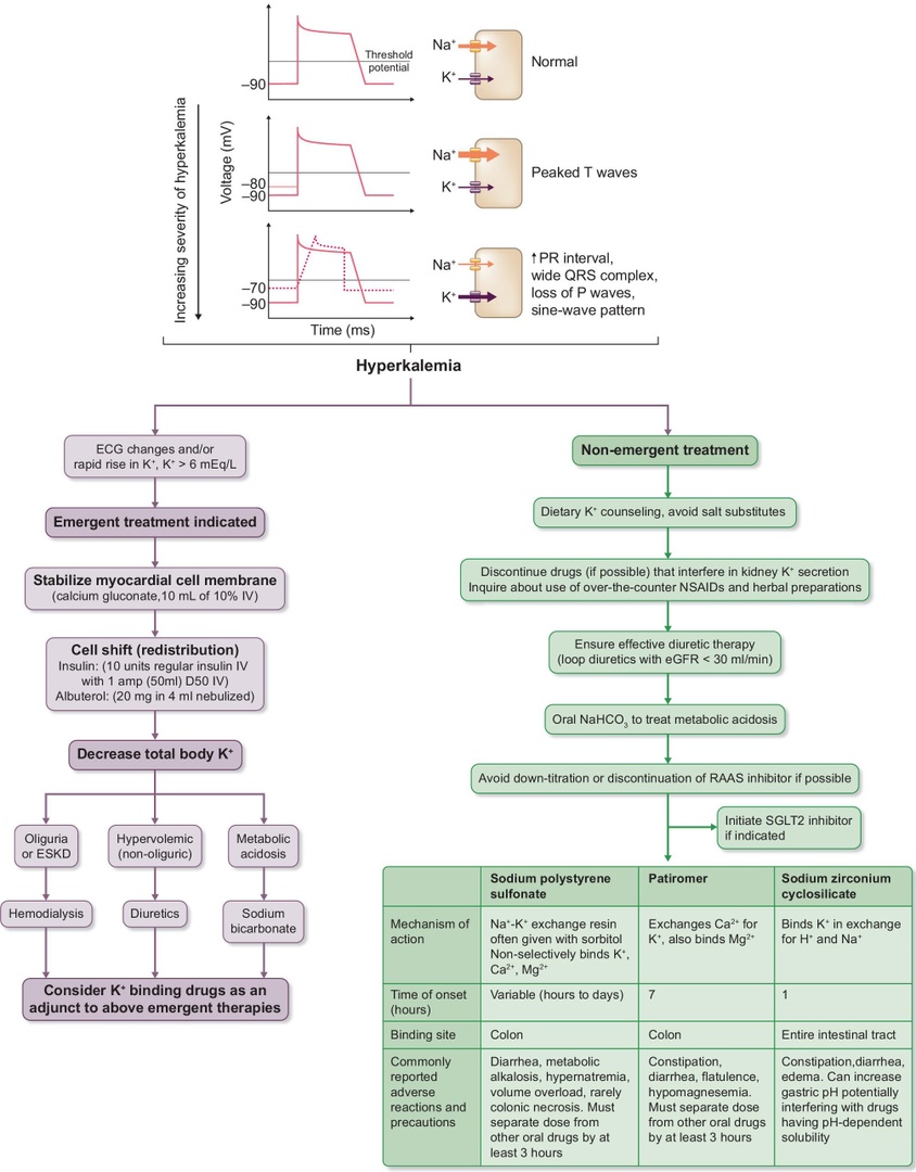 Hyperkalemia treatment standard

CCR Journal Watch
criticalcarereviews.com/latest-evidenc…

Get the latest critical care literature every weekend via the CCR Newsletter - subscribe at criticalcarereviews.com/newsletters/su…