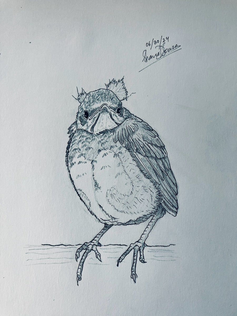 Shane D'Souza, PhD tweet media