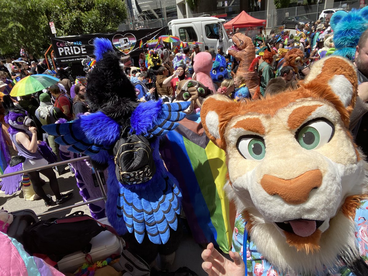 RygarTiger's tweet photo. Kitty celebrating all colors of the rainbow at my first pride event ever at #SFPride! 🌈 https://t.co/yyo5B89ohC