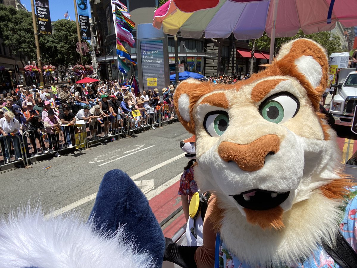 RygarTiger's tweet photo. Kitty celebrating all colors of the rainbow at my first pride event ever at #SFPride! 🌈 https://t.co/yyo5B89ohC