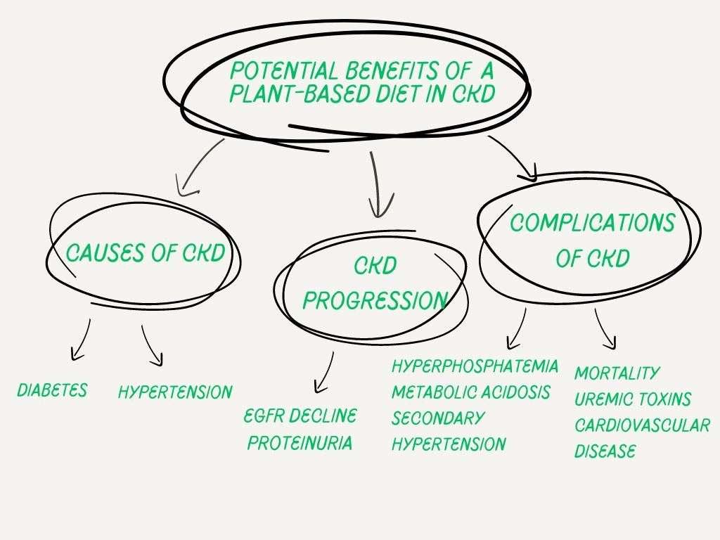 AJKD (@ajkdonline) on Twitter photo NEW Commentary by @sjoshiMD on the #AJKDBlog:
Plants, Kidney Disease and Mortality: Evidence from <a href="/CRICStudy/">CRIC Study</a>
buff.ly/4eGVq4k
Article by <a href="/hyunjukim25/">Hyunju Kim</a> et al: buff.ly/48hYOP8 NEW Commentary by @sjoshiMD on the #AJKDBlog:
Plants, Kidney Disease and Mortality: Evidence from <a href="/CRICStudy/">CRIC Study</a>
buff.ly/4eGVq4k
Article by <a href="/hyunjukim25/">Hyunju Kim</a> et al: buff.ly/48hYOP8