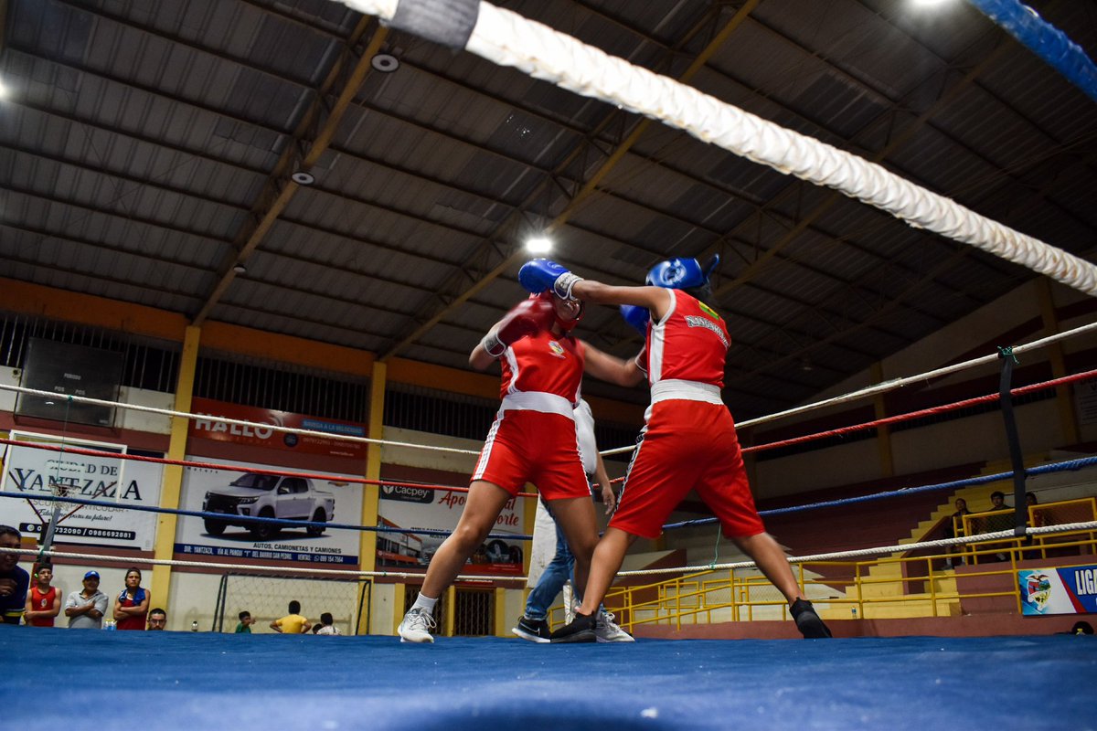¡Jornadas deportivas “La Julián”, Yantzaza 2024, arrancaron con guantes!🥊
Con 1️⃣5️⃣ peleas en las categorías prejuvenil damas y varones, y menores, el aficionado local y provincias visitantes, vivieron el interprovincial de box, #ZamoraChinchipe vs. #Loja,
#YantzazaSiempre💚💛❤️