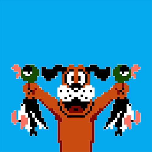 DUCK HUNTER EXTREME tweet media