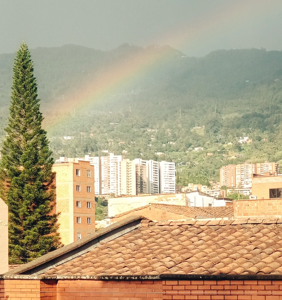 Lachavitadel8's tweet photo. Por aquí también decidieron unirse al #Pride2024 #Orgullo2024 🏳️‍🌈🏳️‍⚧️ 💪😎🤟 https://t.co/SBrFXdEQfu