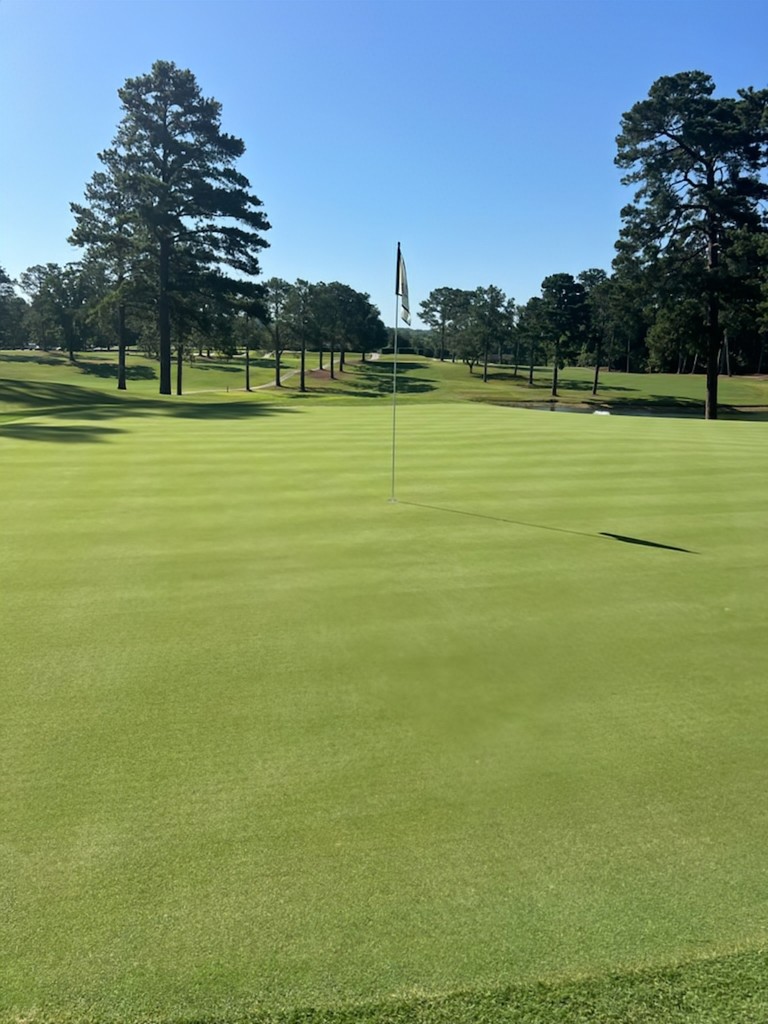 The Idle Hour Club, Macon, GA looking good as we go into July.
007XL bentgrass greens in the deep south. Thank you Wade Thomas.