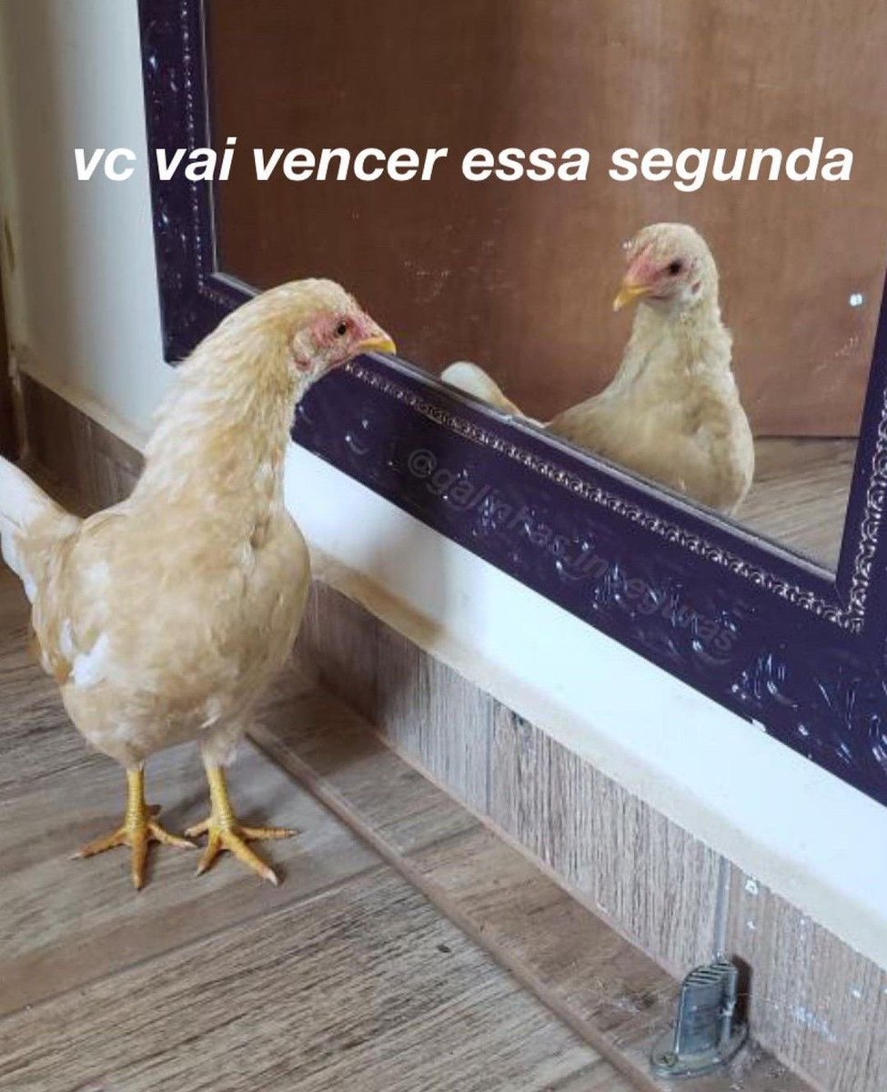 paginalixo1's tweet photo. eu já me encontro assim https://t.co/Yfqjd88tUM