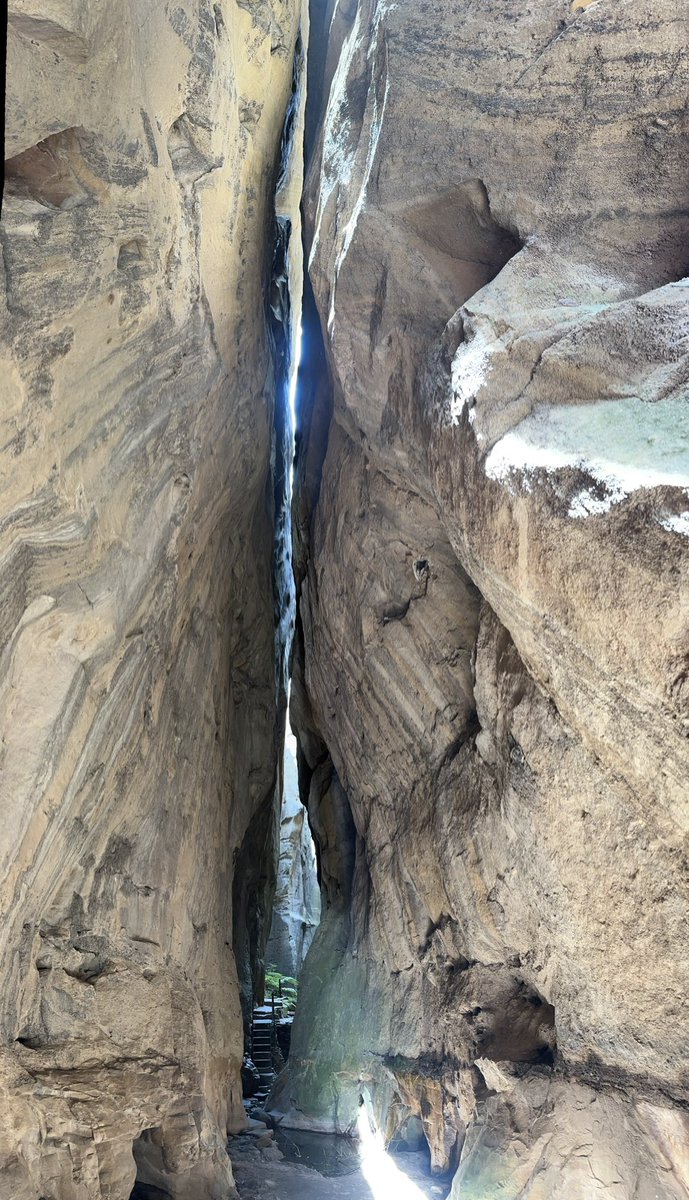 James OConnor tweet media