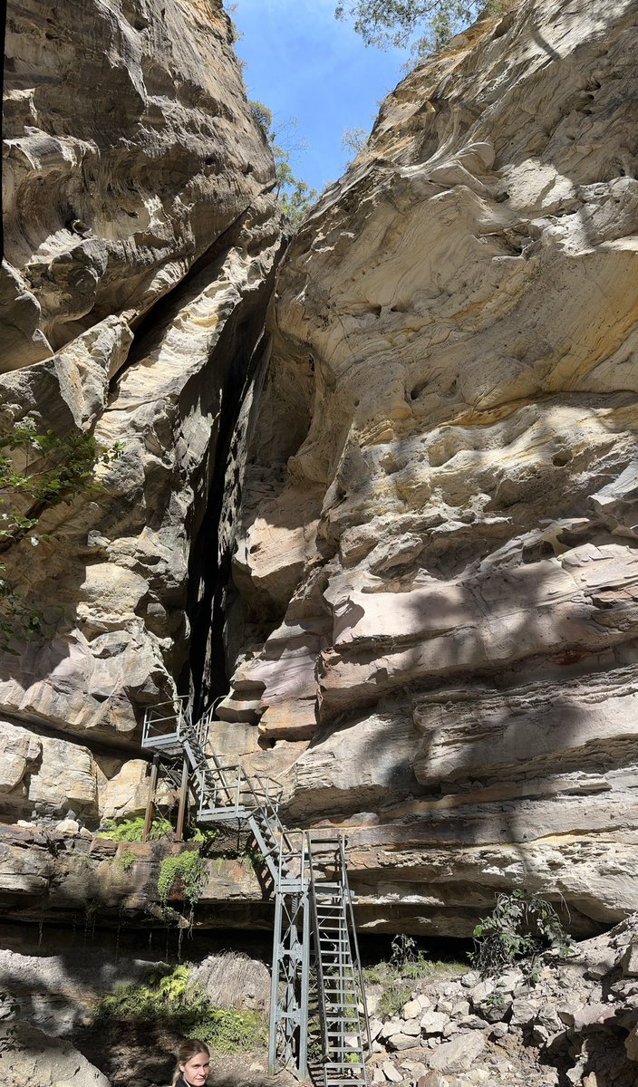 James OConnor tweet media