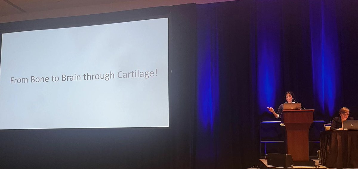 KimiaWitte's tweet image. From Bone to Brain through Cartilage! #TERMIS2024