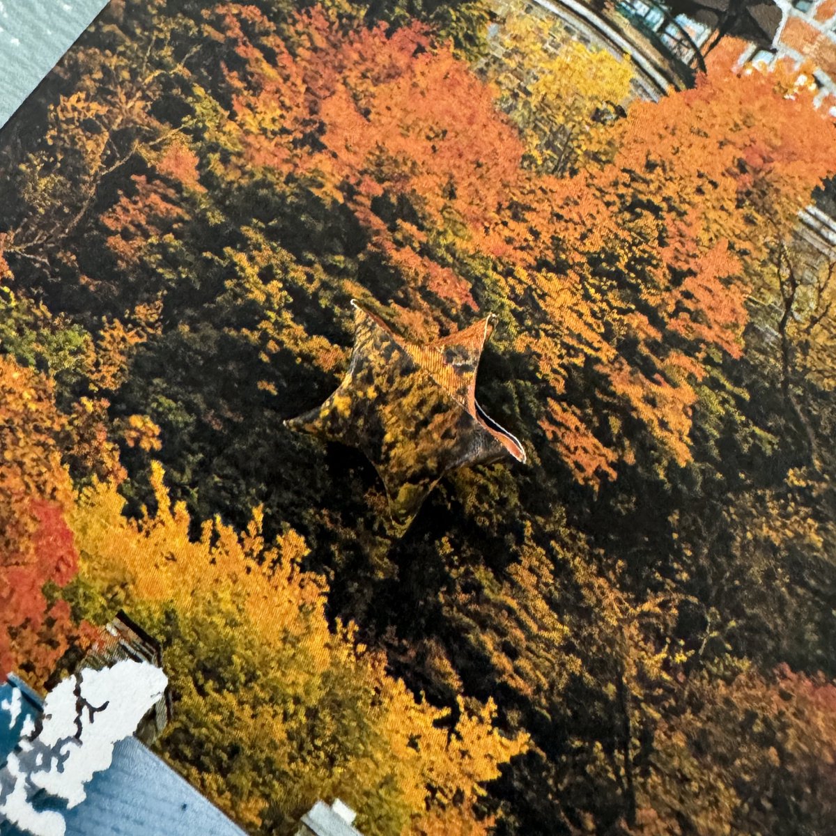 kaltour's tweet photo. 이건 가을단풍별🍁

추석황금연휴는 한진관광이랑~❤️
https://t.co/uy2PVAbeuS https://t.co/wMl01f55u1