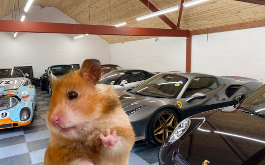 just me in my garage

$BONGO